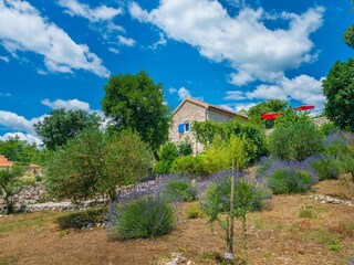 Maison de vacances Selce Enregistrement extérieur 2