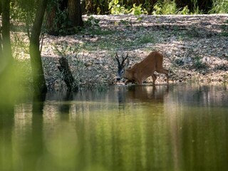 Casa per le vacanze Dramalj Ambiente 16