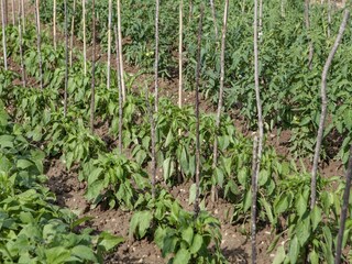 Appartement Gata Enregistrement extérieur 4