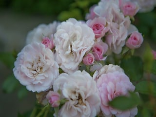 Appartement Gata  39