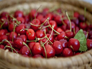 Appartamento Gata  34