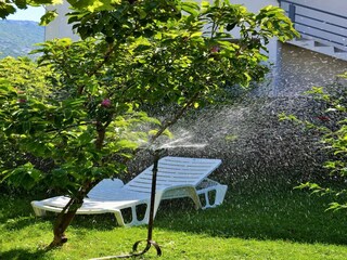 Appartement Gata  36