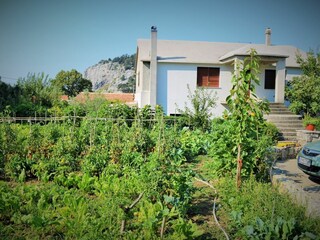 Apartamento Gata Grabación al aire libre 4