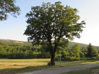 Villa Svib Environment 31