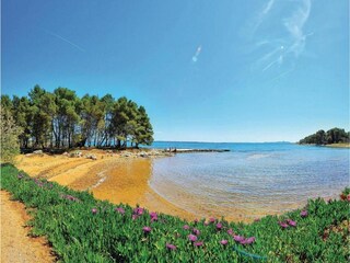 Holiday house Povljana Environment 13