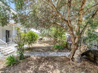 Villa Orebic Außenaufnahme 3