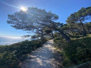 Appartement Banjole Omgeving 29