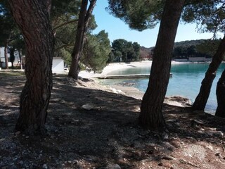 Maison de vacances Banjole Environnement 33