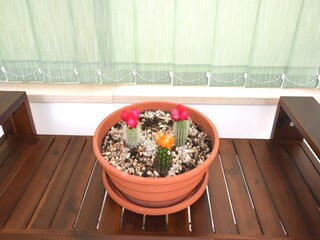 Vakantiehuis Banjole  30