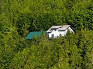 Une maison de vacances douillette à Kozji Vrh, en Croatie - Rijeka - image1