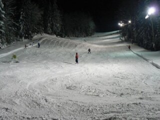 Maison de vacances Stari Trg Environnement 18