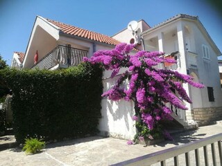 Appartement Petrcane  40