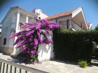 Appartement Petrcane Buitenaudio-opname 6