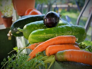 Apartamento Gata Grabación al aire libre 5