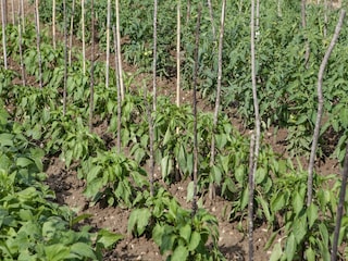 Apartment Gata Außenaufnahme 7