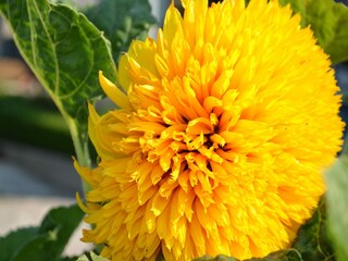 Apartamento Gata Grabación al aire libre 10