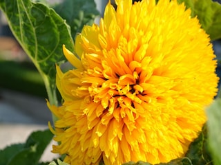 Apartment Gata Außenaufnahme 10