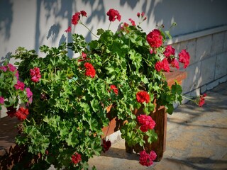 Apartamento Gata  38