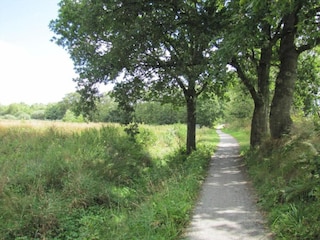 Apartment Gata Umgebung 26