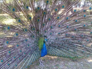 Apartamento Dubrovnik  40