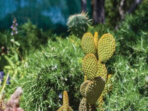 Spaziosa casa vacanze a Bibinje con giardino