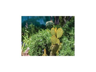 Holiday house Bibinje Outdoor Recording 16