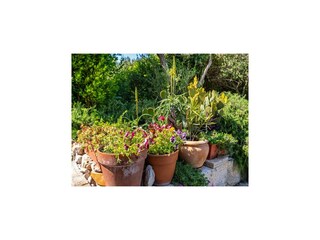 Casa de vacaciones Bibinje Características 32