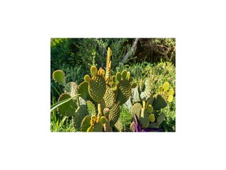 Casa de vacaciones Bibinje  71