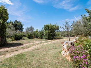 Appartement Mali Maj Buitenaudio-opname 14