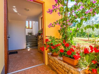 Appartement Mali Maj Équipement 22