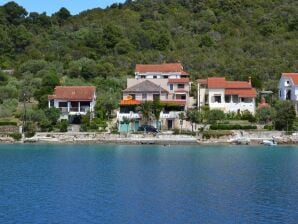 Appartement en front de mer à Molat avec vue sur la mer - Verunić - image1