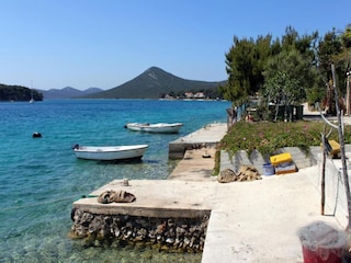 Apartment Verunić Environment 24