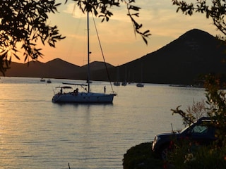 Apartment Verunić Environment 36