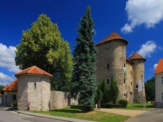 Ferienhaus Ogulin Umgebung 28