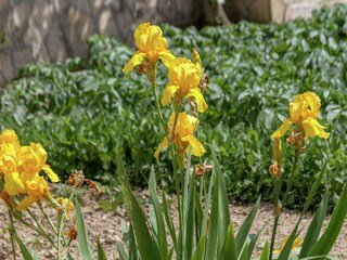 Apartment Kaštel Stari  32