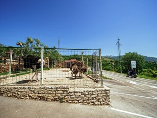 Ferienhaus Kruševo Umgebung 32