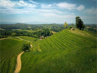 Holiday house Vodnjan Environment 30