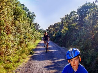 Apartment Veli Rat Environment 35