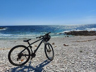 Apartment Veli Rat Environment 12