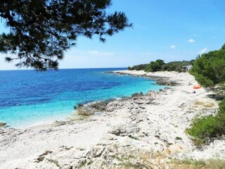 Apartment Veli Rat Environment 14