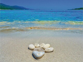 Apartment Veli Rat Environment 22