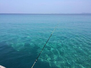 Apartment Veli Rat Environment 27