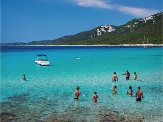 Apartment Veli Rat Environment 32