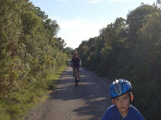 Apartment Veli Rat  38