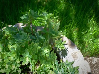 Villa Dicmo Environnement 33