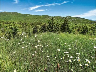 Villa Dicmo Ambiente 34