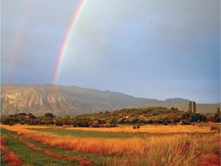 Villa Dicmo Environnement 37