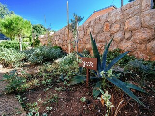 Apartment Starigrad Außenaufnahme 6