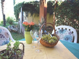 Maison de vacances Brtonigla  38