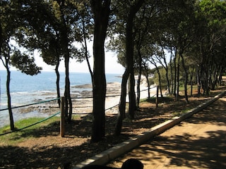 Holiday house Vabriga Environment 35